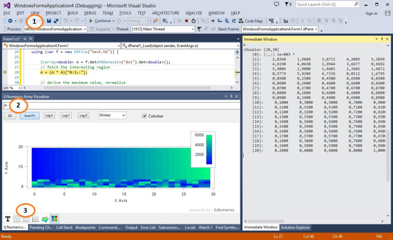 Graphical Debugger for .NET (C# and Visual Basic)