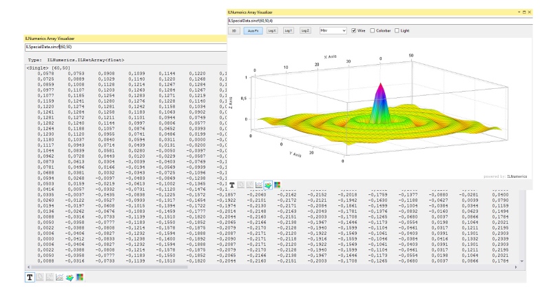 Graphical Debugger for .NET (C# and Visual Basic)